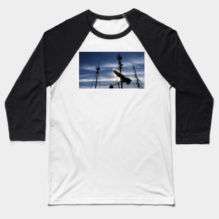 Pier 17 NYC Seagull Baseball T-Shirt